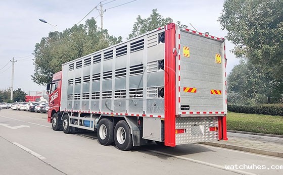 猪仔运输车