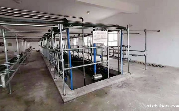 鱼骨式电子计量<a href=/ target=_blank class=infotextkey>挤奶机</a>