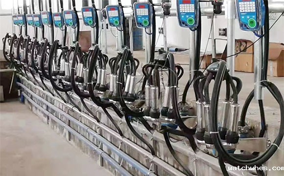 鱼骨式电子计量<a href=/ target=_blank class=infotextkey>挤奶机</a>