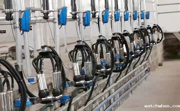 鱼骨式电子计量<a href=/ target=_blank class=infotextkey>挤奶机</a>