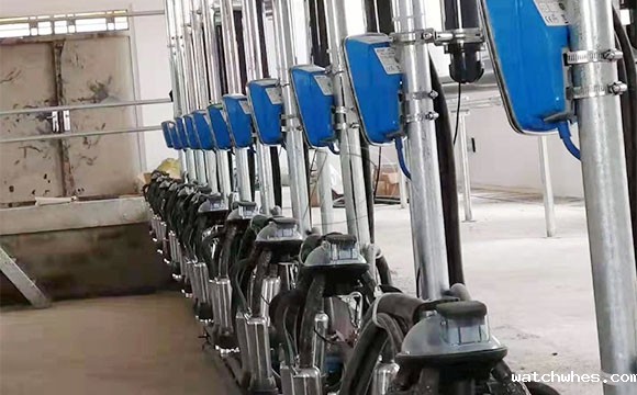 鱼骨式电子计量<a href=/ target=_blank class=infotextkey>挤奶机</a>