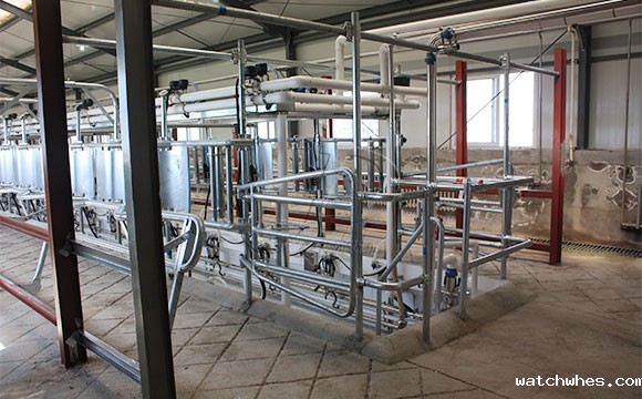 我公司在内蒙新装鱼骨式奶牛<a href=/ target=_blank class=infotextkey>挤奶机</a>安装调试现场