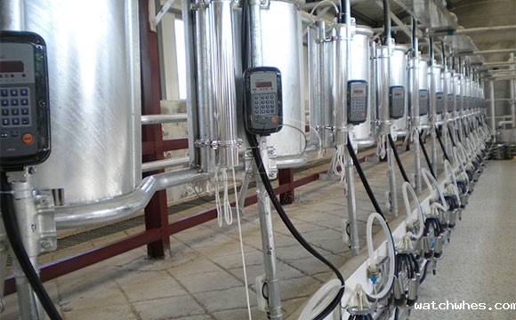 我公司在内蒙新装鱼骨式奶牛<a href=/ target=_blank class=infotextkey>挤奶机</a>安装调试现场