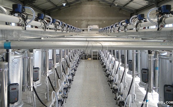 我公司在内蒙新装鱼骨式奶牛<a href=/ target=_blank class=infotextkey>挤奶机</a>安装调试现场