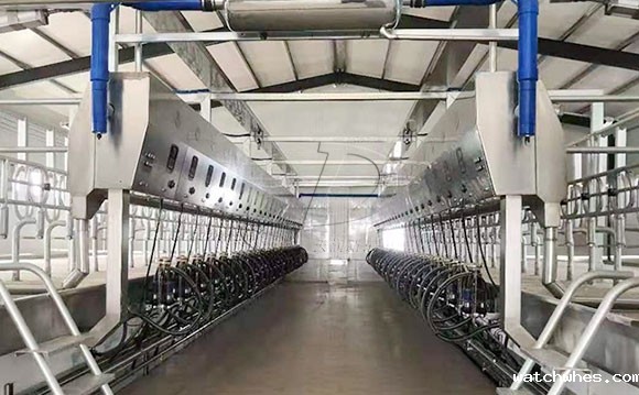 并列式<a href=/ target=_blank class=infotextkey>挤奶机</a>