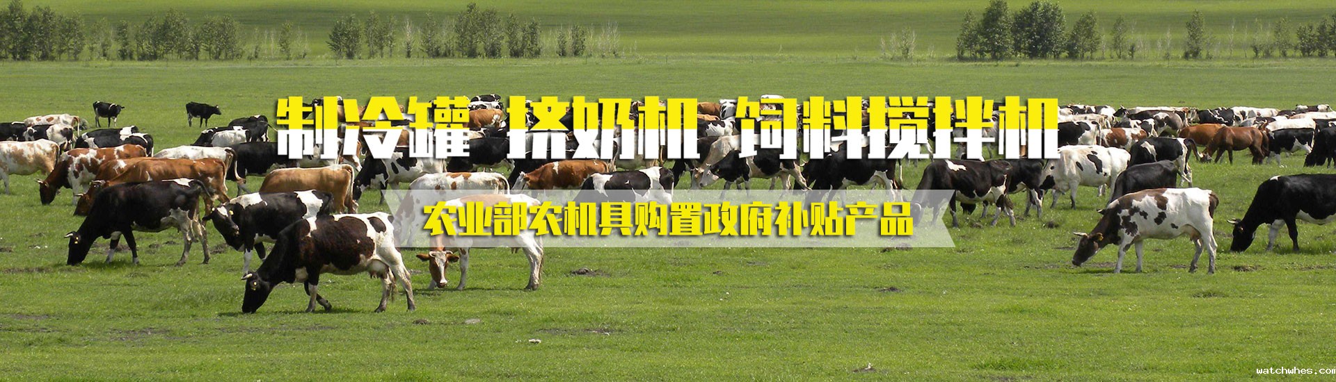 星空体育app官网入口