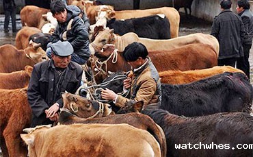 寻找制冷罐，昆明客户终于在河南新乡找到答案！