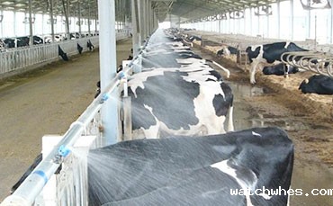 星空体育app官网入口移动式奶站,让收奶站自己跑起来