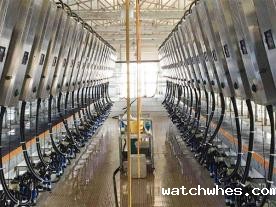 阿菲金并列式奶牛挤奶机