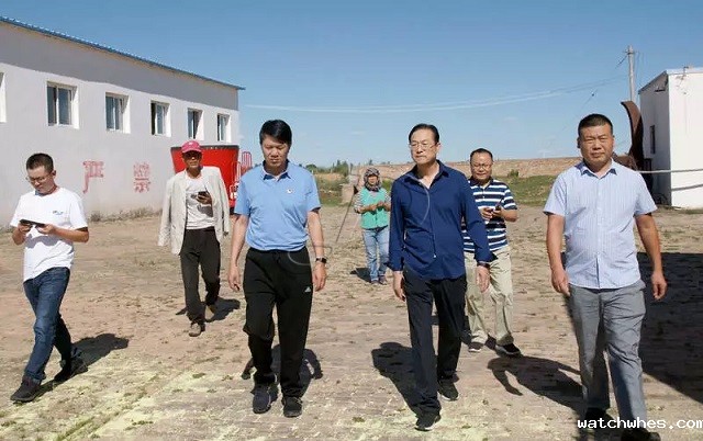 中垦乳业集团来定考察万吨奶牛养殖项目