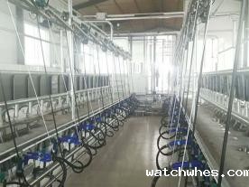 并列式奶山羊挤奶机（厅）