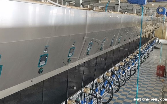 scr并列式奶牛<a href=/ target=_blank class=infotextkey>挤奶机</a>