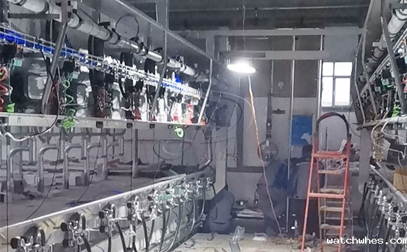 scr并列式奶牛<a href=/ target=_blank class=infotextkey>挤奶机</a>