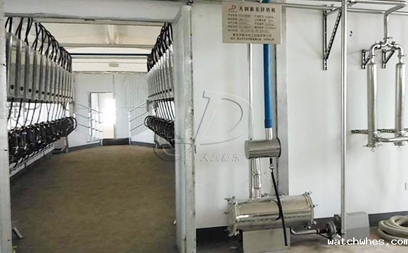 并列式奶牛<a href=/ target=_blank class=infotextkey>挤奶机</a>