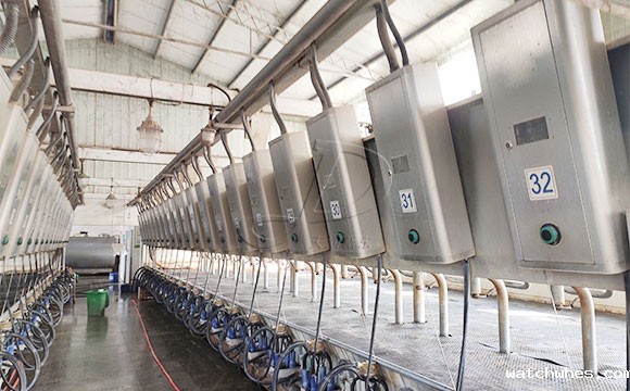 scr并列式牛奶<a href=/ target=_blank class=infotextkey>挤奶机</a>