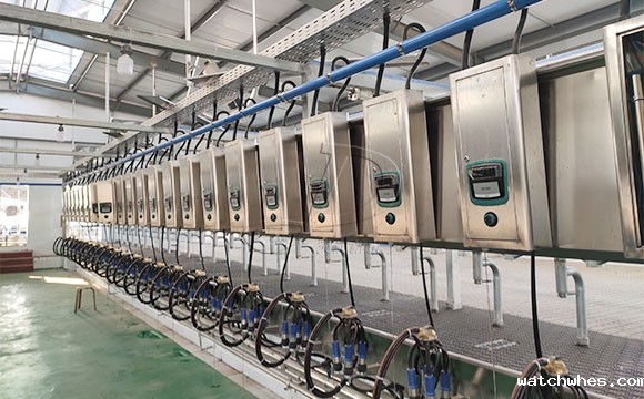 2*25奶牛<a href=/ target=_blank class=infotextkey>挤奶机</a>