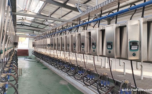 2*25奶牛<a href=/ target=_blank class=infotextkey>挤奶机</a>