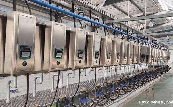 2*25奶牛<a href=/ target=_blank class=infotextkey>挤奶机</a>