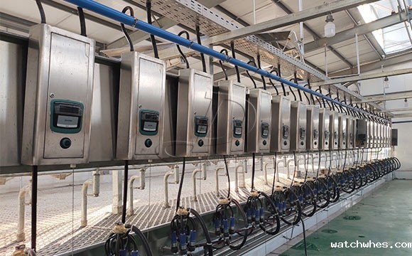 2*25奶牛<a href=/ target=_blank class=infotextkey>挤奶机</a>