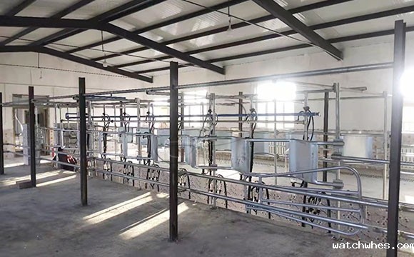 中置式<a href=/ target=_blank class=infotextkey>挤奶机</a>