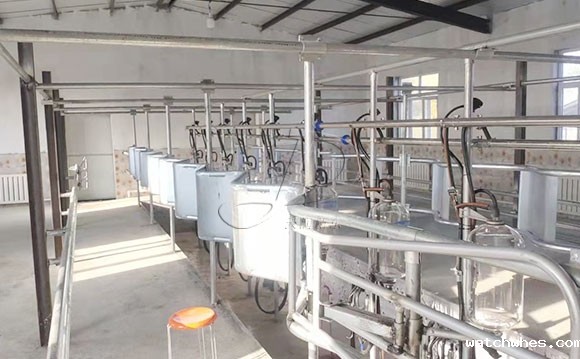 中置式<a href=/ target=_blank class=infotextkey>挤奶机</a>