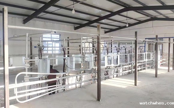 中置式<a href=/ target=_blank class=infotextkey>挤奶机</a>