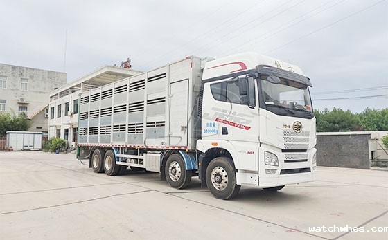 空调运猪车
