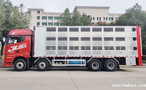 谁才是真正的运猪之王——浅谈各种运猪方式