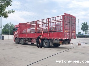 海南2台直冷式椰子水制冷罐发货现场